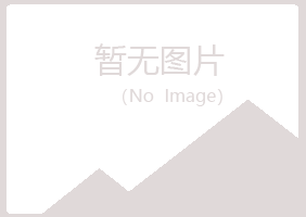 重庆南岸山柏培训有限公司